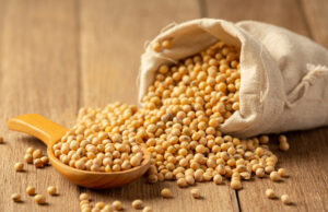 Dólar acima de R$ 6: impactos positivos e desafios para o agronegócio brasileiro