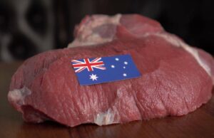 Austrália recebe preço recorde pela carne bovina magra exportada aos EUA