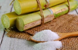 Brasil bate recorde de exportações para o Canadá em 2024