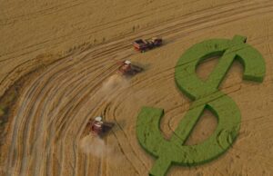 Financiamento para o agro do BNDES cresceu 26% em 2024