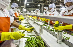 Paraná avança na segurança alimentar com novo plano alinhado à Agenda 2030 da ONU