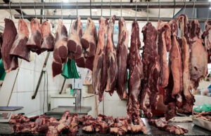 Carne bovina: Ano Novo Chinês coloca as negociações com o Brasil em compasso de espera