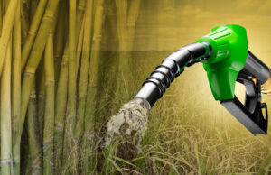 Mercados em queda, crise climática e impasse comercial com EUA geram incertezas