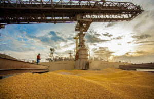 Estado faz balanço positivo do setor agrícola em 2024