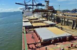 Exportações Brasileiras para a China Registram Queda em 2024