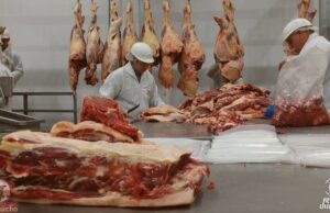 Brasil bate recorde de exportação de carne bovina e de frango em 2024