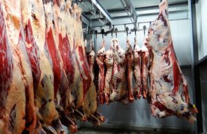 Carne bovina: exportadores dos EUA miram mercado de US$ 2 bilhões no Reino Unido