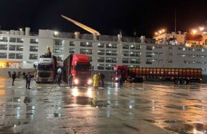 Exportações brasileiras de gado vivo atingem recorde histórico em 2024