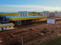 Queijaria gigante do Paraná garante expansão antes mesmo da inauguração