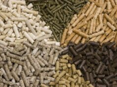 Brasil amplia exportações agropecuárias com novas autorizações da Coreia do Sul e do Vietnã