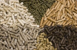 Brasil amplia exportações agropecuárias com novas autorizações da Coreia do Sul e do Vietnã