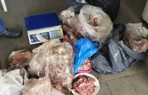 Imprópria! 161 quilos de carne são destruídos após apreensão