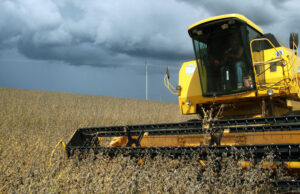 Colheita de soja do Brasil alcança 23%