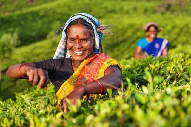 agro_produtor_India_mulheres_10fev25_Getty-768x512