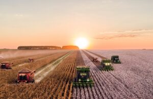 Possível imposição de tarifas pelos EUA preocupa setor agropecuário brasileiro