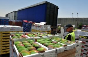 Exportações de Frutas Brasileiras Crescem 49% em Volume nos Últimos Dez Anos