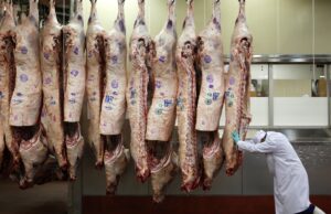 Exportações de carne bovina in natura brasileira sobem 16% em receita na parcial de fev/25