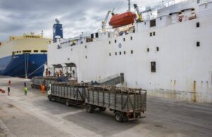 Pecuaristas criam associação para fortalecer a exportação de gado vivo