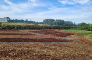 Tecnologia de irrigação inteligente otimiza uso da água no campo