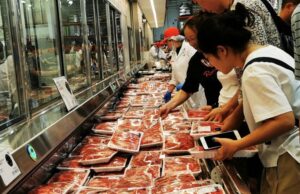 Brasil e Japão avançam em negociações para exportação de carne bovina