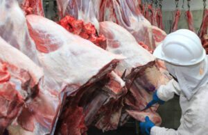 Brasil lidera exportação de carne bovina, mas consumo interno recua