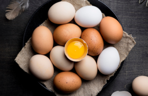 EUA ampliam importação de ovos do Brasil devido à gripe aviária