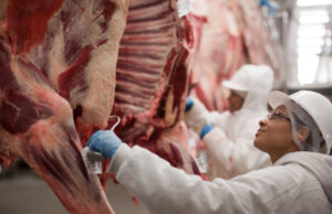 Carne bovina brasileira se valoriza e conquista mais mercados