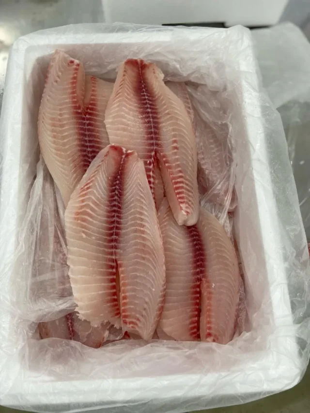 tilapia-mcassab_Easy-Resize.com_.jpg