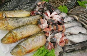 Brasil busca ampliar exportações com novos acessos ao mercado chinês