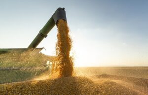 Nova proposta busca alinhar preço mínimo ao custo de produção