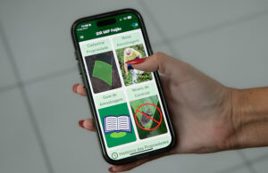 Aplicativo facilita manejo do feijão e reforça liderança do Paraná na produção