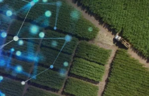 Paraná lidera expansão da conectividade no campo e mira 100% de cobertura rural