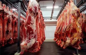 Exportações de carne bovina do Brasil devem bater recorde em 2025