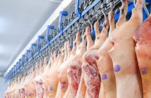 Exportações de carne suína do Paraná crescem 89,5% no primeiro trimestre
