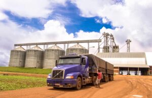 Alta no transporte de grãos pressiona safra de soja