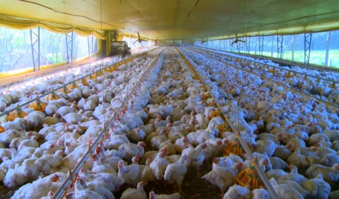 Lei da Reciprocidade autoriza reação a tarifas sobre produtos do Brasil