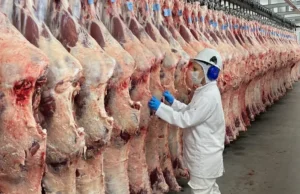 Auditores reagem à privatização da inspeção agropecuária no Brasil