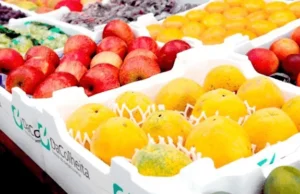 Exportações de frutas crescem 24,78% no primeiro trimestre de 2025