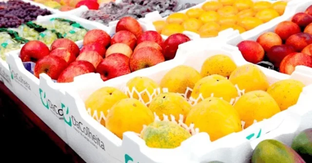 recorde_na_exportacao_de_frutas-1