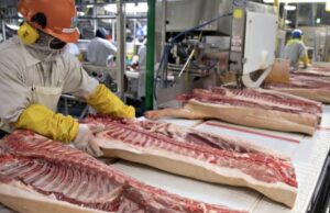 Paraná amplia exportações com entrada no mercado chileno