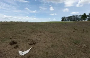 Produtores do RS poderão renegociar crédito rural após estiagem