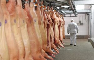 Carne suína se valoriza com demanda e exportações em alta