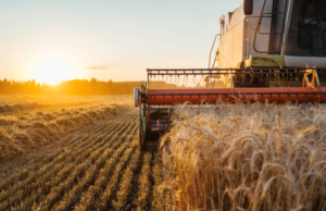 Workshop em Curitiba discute combate ao mercado ilegal de insumos agrícolas