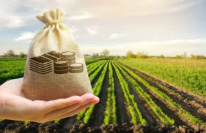 Sicredi reforça liderança no agro com R$ 43,3 bilhões liberados