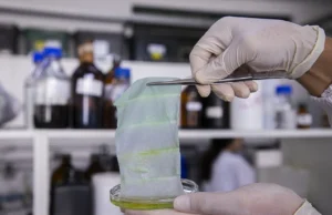 Embrapa cria embalagem que muda de cor em peixe estragado