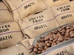 Exportações caem, mas agro paulista mantém saldo positivo