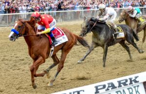 Cavalo de corrida Justify vale mais de R$ 440 milhões