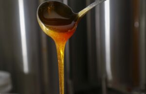 Exportações de mel disparam e Paraná assume vice-liderança no Brasil