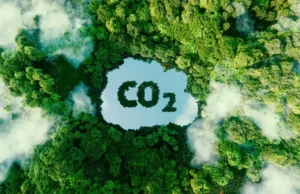 Crédito de carbono poderá abater impostos no campo