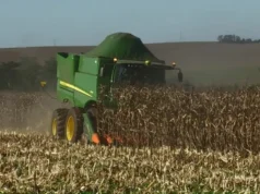 Espírito Santo inicia colheita do café arábica com boas expectativas